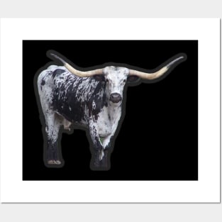 Texas Longhorn Posters and Art